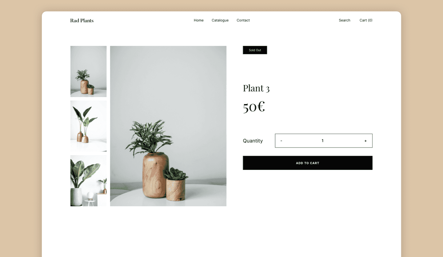 Screenshot of E-Commerce Website: product details