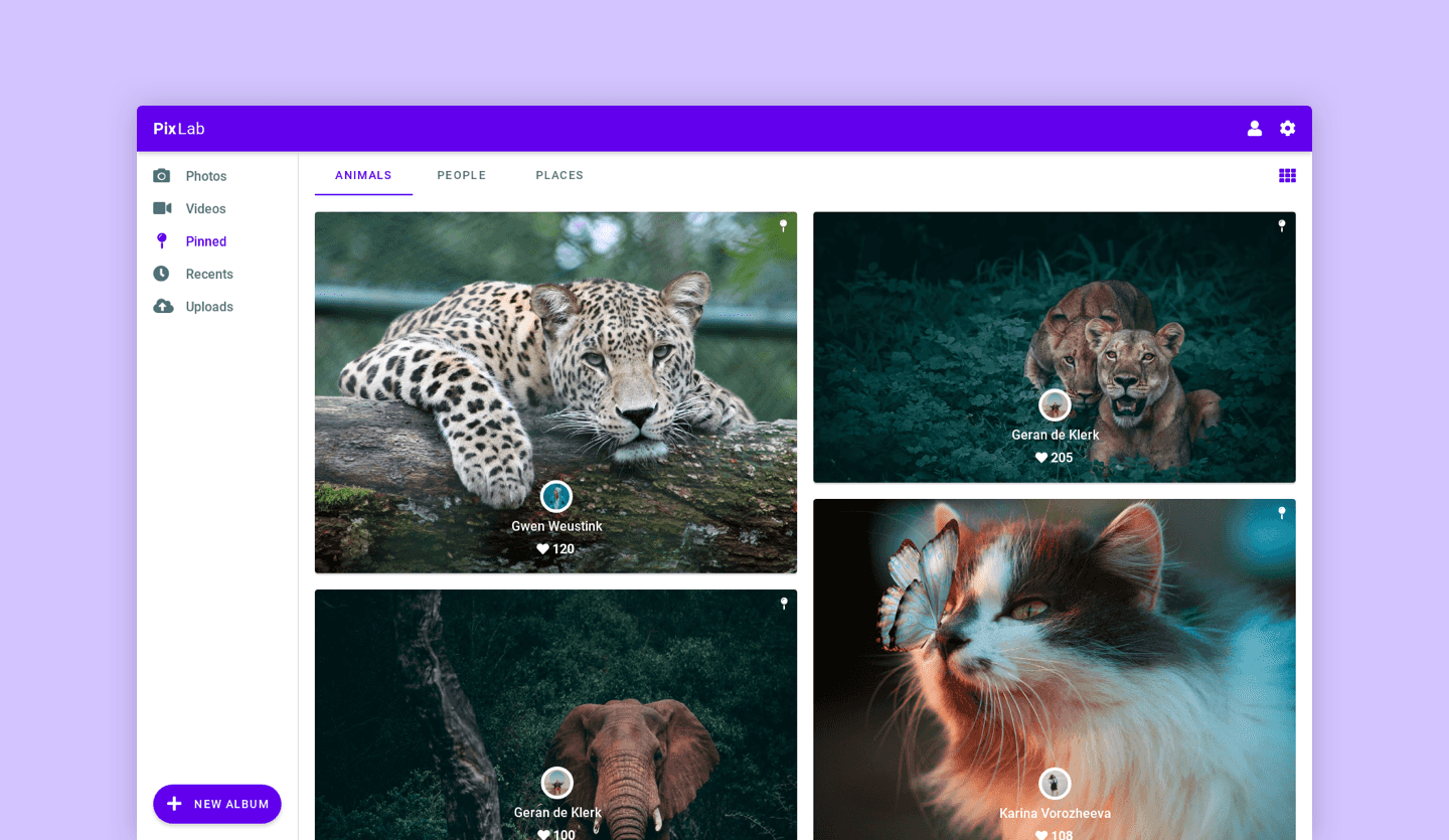 Screenshot of Google Material Design Web App: photo thumbnails page