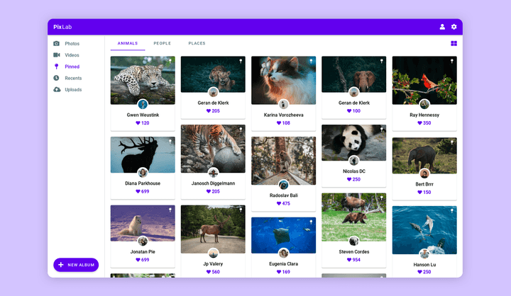 Web App Templates | Web App UI Templates | Uizard