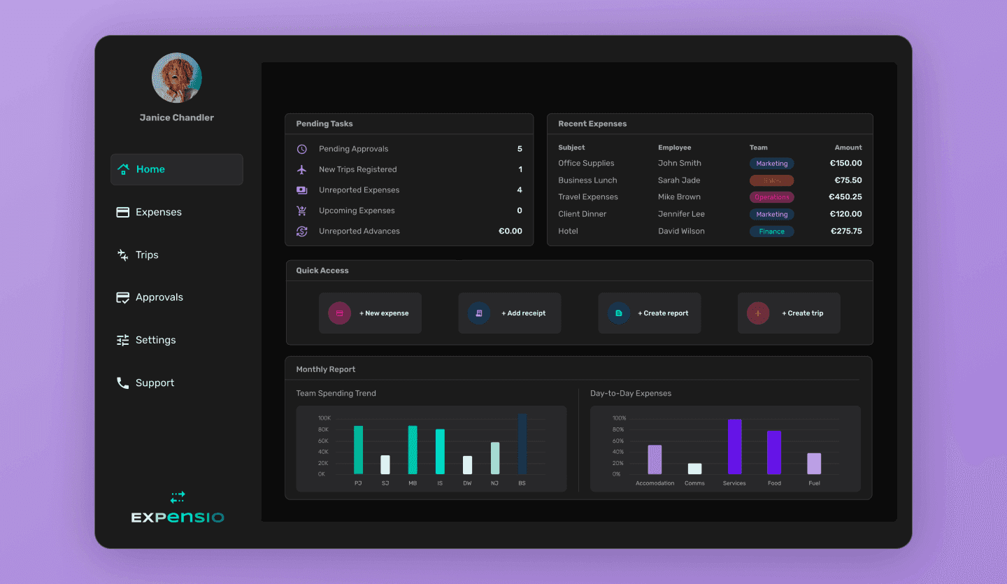 expense tracking dashboard web app design 