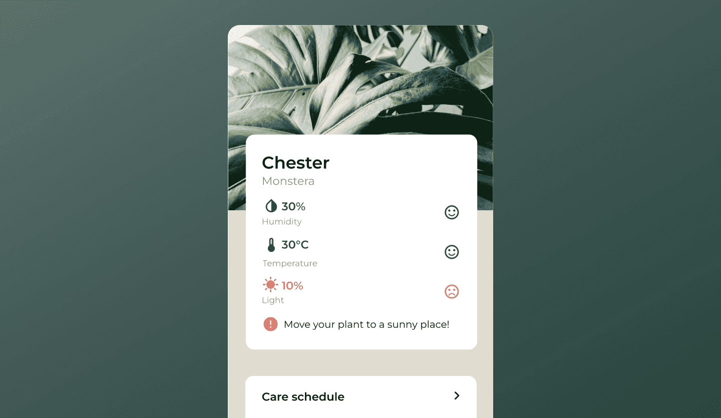 Plant care app UI design information detail screen