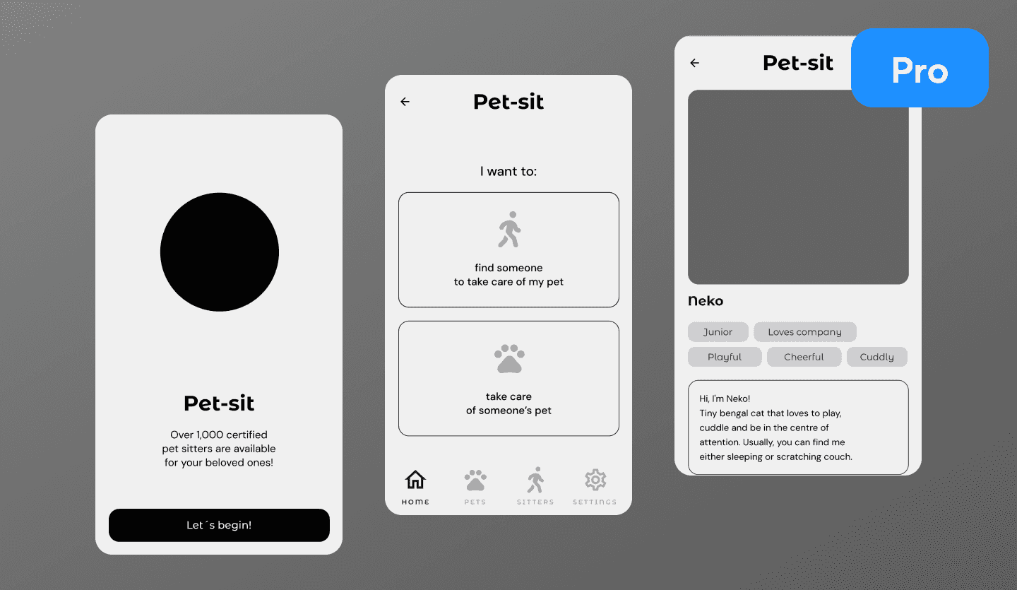 Pet sitting app wireframe design cover