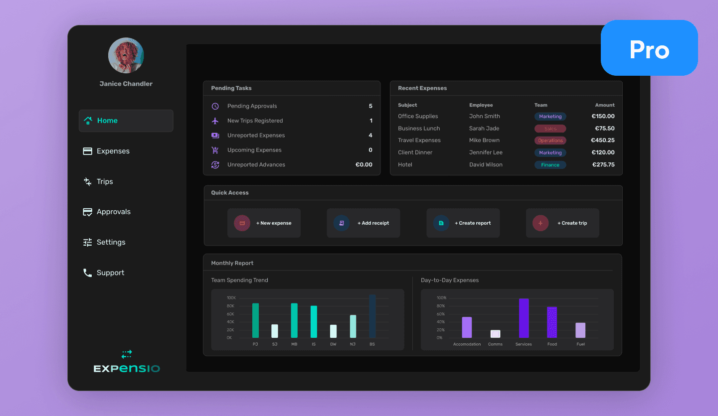 Expense Tracking Web App Template | Expense Tracking UI Design | Uizard